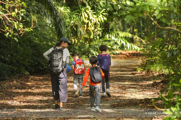 The character behind Forest School Singapore - Singapore Geographic